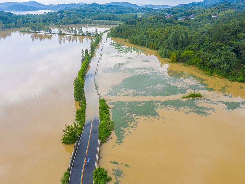 春季雨水多，地下水變渾濁應該怎么辦？